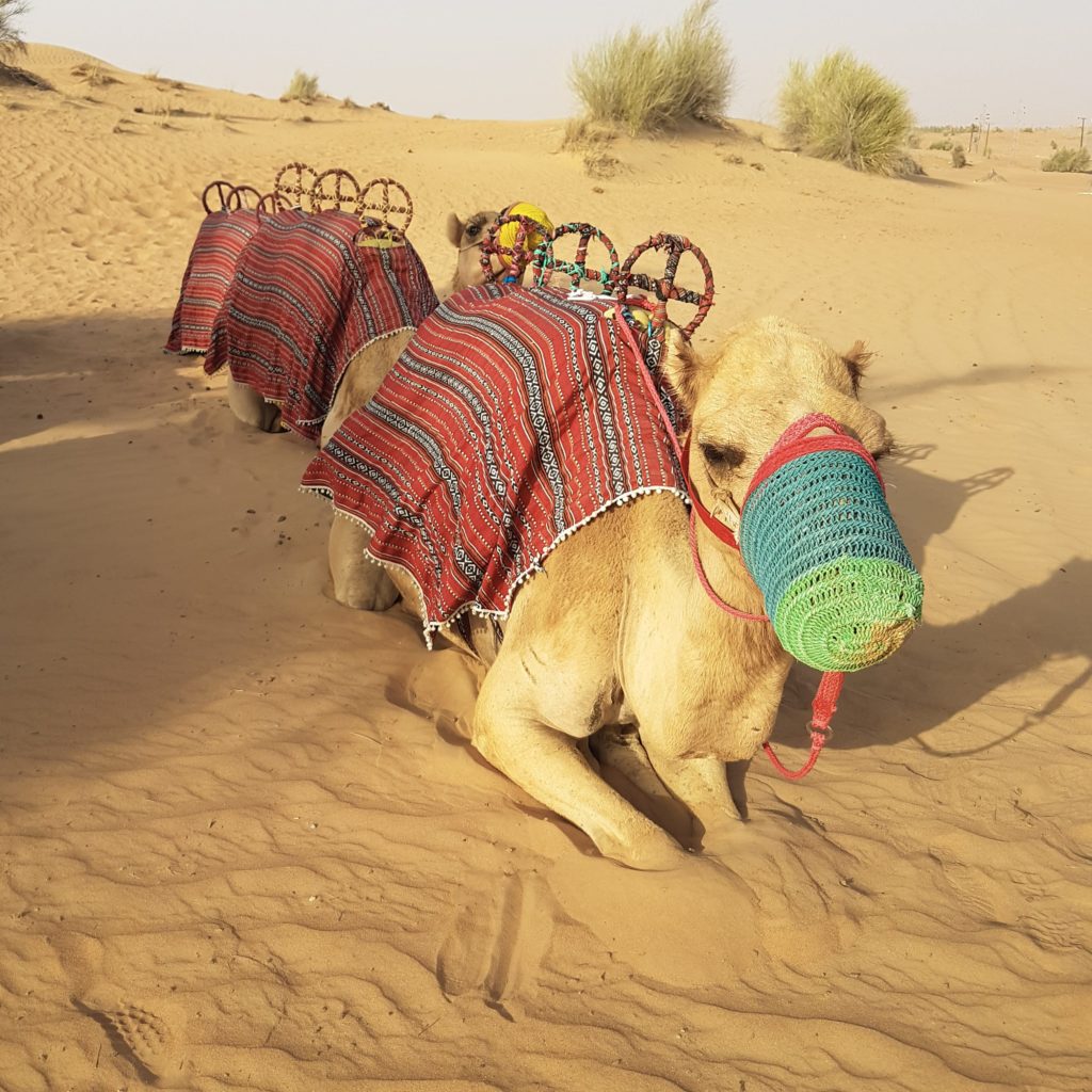 Deserto di Dubai